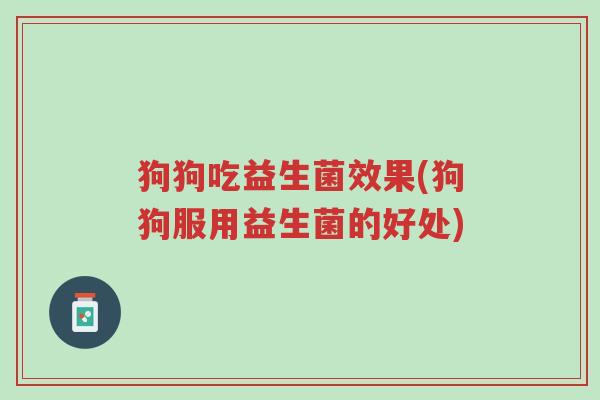 狗狗吃益生菌效果(狗狗服用益生菌的好处)-第1张图片-超越 狗狗吃益生菌效果(狗狗服用益生菌的好处)-第1张图片-超越