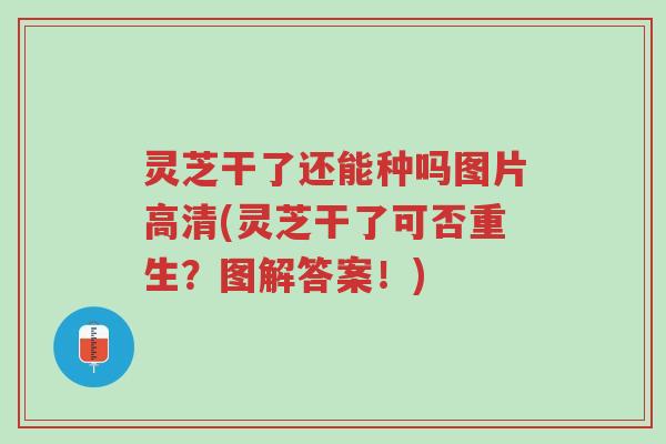 灵芝干了还能种吗图片高清(灵芝干了可否重生?图解答案!)-第1张图片-超越 灵芝干了还能种吗图片高清(灵芝干了可否重生?图解答案!)-第1张图片-超越