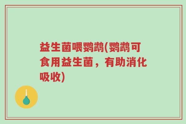 益生菌喂鹦鹉(鹦鹉可食用益生菌，有助消化吸收)-第1张图片-超越