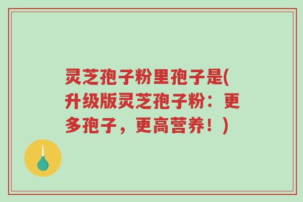 灵芝孢子粉里孢子是(升级版灵芝孢子粉:更多孢子,更高营养!)-第1张图片-超越 灵芝孢子粉里孢子是(升级版灵芝孢子粉:更多孢子,更高营养!)-第1张图片-超越