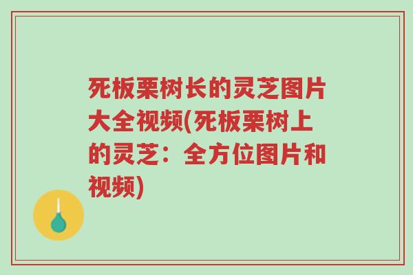 死板栗树长的灵芝图片大全视频(死板栗树上的灵芝:全方位图片和视频)-第1张图片-超越 死板栗树长的灵芝图片大全视频(死板栗树上的灵芝:全方位图片和视频)-第1张图片-超越