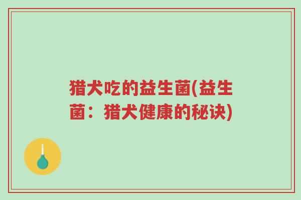猎犬吃的益生菌(益生菌:猎犬健康的秘诀)-第1张图片-超越 猎犬吃的益生菌(益生菌:猎犬健康的秘诀)-第1张图片-超越