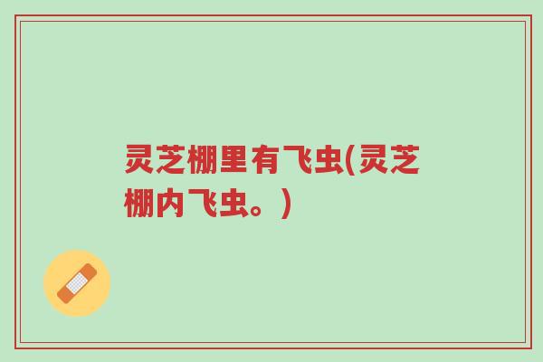 灵芝棚里有飞虫(灵芝棚内飞虫。)-第1张图片-超越