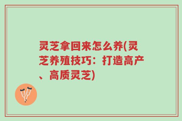 灵芝拿回来怎么养(灵芝养殖技巧:打造高产、高质灵芝)-第1张图片-超越 灵芝拿回来怎么养(灵芝养殖技巧:打造高产、高质灵芝)-第1张图片-超越