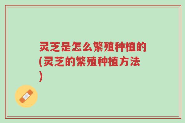 灵芝是怎么繁殖种植的(灵芝的繁殖种植方法)-第1张图片-超越 灵芝是怎么繁殖种植的(灵芝的繁殖种植方法)-第1张图片-超越