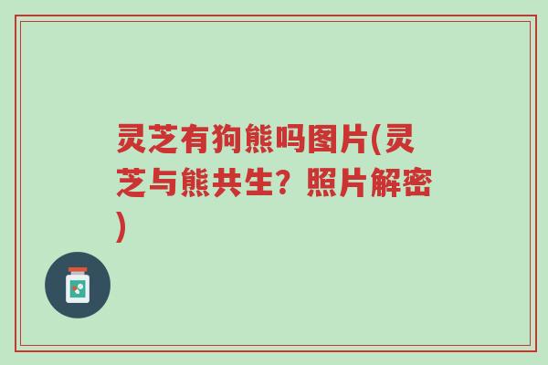 灵芝有狗熊吗图片(灵芝与熊共生?照片解密)-第1张图片-超越 灵芝有狗熊吗图片(灵芝与熊共生?照片解密)-第1张图片-超越