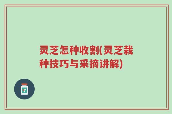 灵芝怎种收割(灵芝栽种技巧与采摘讲解)-第1张图片-超越