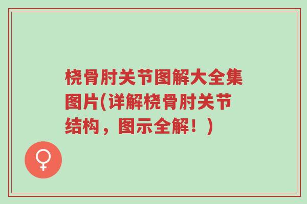 桡骨肘关节图解大全集图片(详解桡骨肘关节结构,图示全解!)-第1张图片-超越 桡骨肘关节图解大全集图片(详解桡骨肘关节结构,图示全解!)-第1张图片-超越