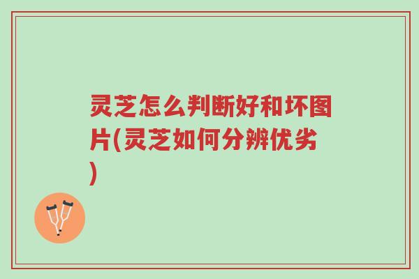 灵芝怎么判断好和坏图片(灵芝如何分辨优劣)-第1张图片-超越 灵芝怎么判断好和坏图片(灵芝如何分辨优劣)-第1张图片-超越