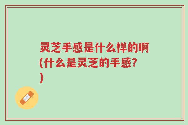 灵芝手感是什么样的啊(什么是灵芝的手感?)-第1张图片-超越 灵芝手感是什么样的啊(什么是灵芝的手感?)-第1张图片-超越