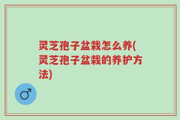 灵芝孢子盆栽怎么养(灵芝孢子盆栽的养护方法)-第1张图片-超越 灵芝孢子盆栽怎么养(灵芝孢子盆栽的养护方法)-第1张图片-超越