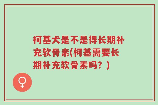 柯基犬是不是得长期补充软骨素(柯基需要长期补充软骨素吗?)-第1张图片-超越 柯基犬是不是得长期补充软骨素(柯基需要长期补充软骨素吗?)-第1张图片-超越