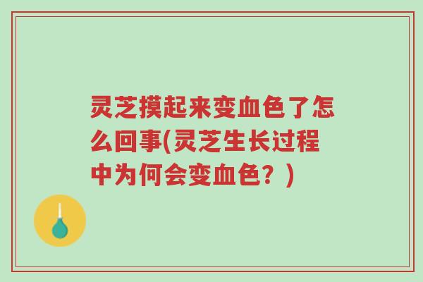 灵芝摸起来变血色了怎么回事(灵芝生长过程中为何会变血色？)-第1张图片-超越