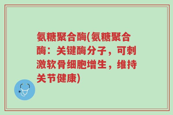 氨糖聚合酶(氨糖聚合酶:关键酶分子,可刺激软骨细胞增生,维持关节健康)-第1张图片-超越 氨糖聚合酶(氨糖聚合酶:关键酶分子,可刺激软骨细胞增生,维持关节健康)-第1张图片-超越