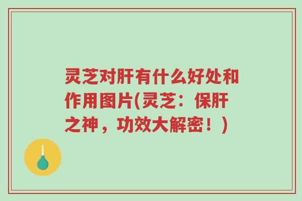 灵芝对肝有什么好处和作用图片(灵芝:保肝之神,功效大解密!)-第1张图片-超越 灵芝对肝有什么好处和作用图片(灵芝:保肝之神,功效大解密!)-第1张图片-超越