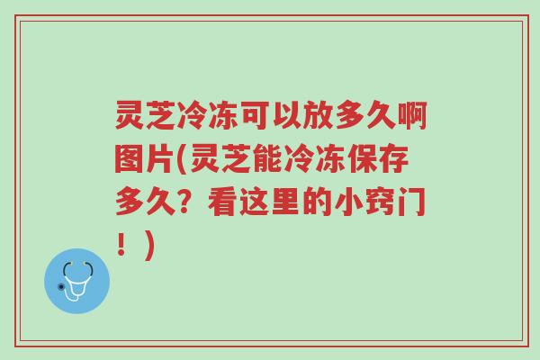 灵芝冷冻可以放多久啊图片(灵芝能冷冻保存多久?看这里的小窍门!)-第1张图片-超越 灵芝冷冻可以放多久啊图片(灵芝能冷冻保存多久?看这里的小窍门!)-第1张图片-超越