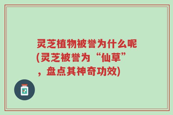 灵芝植物被誉为什么呢(灵芝被誉为“仙草”,盘点其神奇功效)-第1张图片-超越 灵芝植物被誉为什么呢(灵芝被誉为“仙草”,盘点其神奇功效)-第1张图片-超越