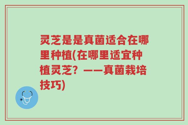 灵芝是是真菌适合在哪里种植(在哪里适宜种植灵芝？——真菌栽培技巧)-第1张图片-超越