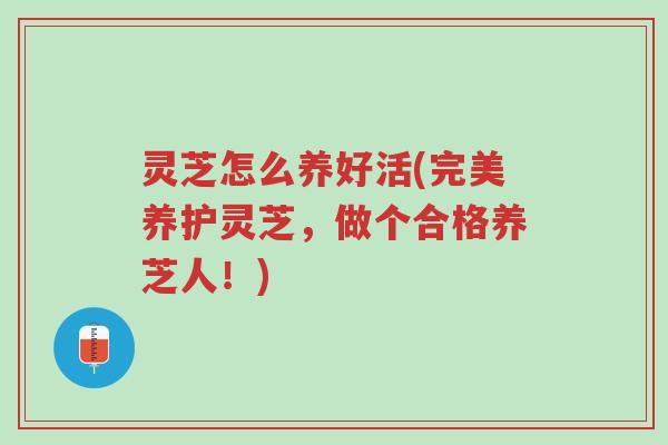 灵芝怎么养好活(完美养护灵芝,做个合格养芝人!)-第1张图片-超越 灵芝怎么养好活(完美养护灵芝,做个合格养芝人!)-第1张图片-超越
