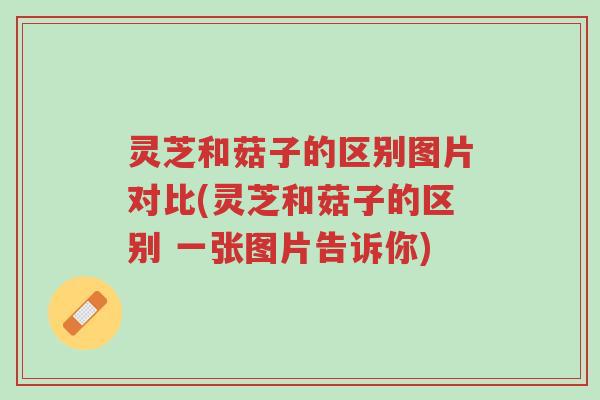 灵芝和菇子的区别图片对比(灵芝和菇子的区别 一张图片告诉你)-第1张图片-超越 灵芝和菇子的区别图片对比(灵芝和菇子的区别 一张图片告诉你)-第1张图片-超越