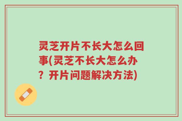 灵芝开片不长大怎么回事(灵芝不长大怎么办?开片问题解决方法)-第1张图片-超越 灵芝开片不长大怎么回事(灵芝不长大怎么办?开片问题解决方法)-第1张图片-超越