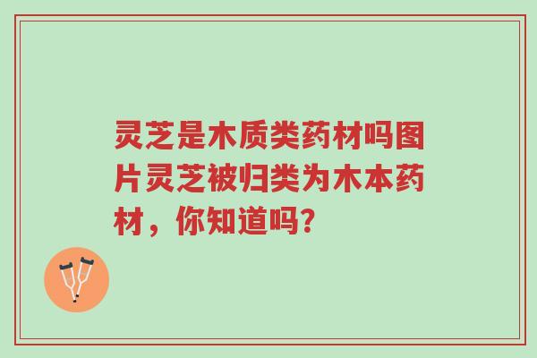 灵芝是木质类药材吗图片灵芝被归类为木本药材,你知道吗?-第1张图片-超越 灵芝是木质类药材吗图片灵芝被归类为木本药材,你知道吗?-第1张图片-超越