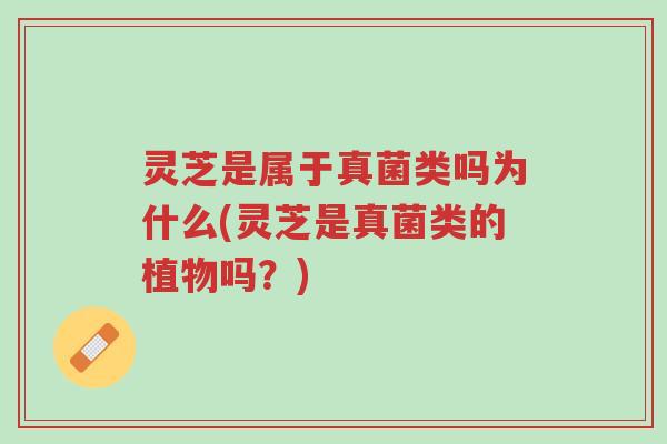 灵芝是属于真菌类吗为什么(灵芝是真菌类的植物吗?)-第1张图片-超越 灵芝是属于真菌类吗为什么(灵芝是真菌类的植物吗?)-第1张图片-超越