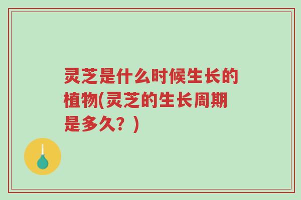 灵芝是什么时候生长的植物(灵芝的生长周期是多久?)-第1张图片-超越 灵芝是什么时候生长的植物(灵芝的生长周期是多久?)-第1张图片-超越