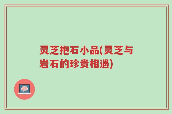 灵芝抱石小品(灵芝与岩石的珍贵相遇)-第1张图片-超越 灵芝抱石小品(灵芝与岩石的珍贵相遇)-第1张图片-超越