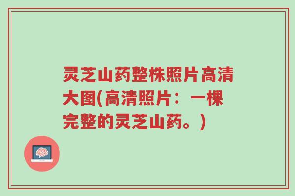 灵芝山药整株照片高清大图(高清照片:一棵完整的灵芝山药。)-第1张图片-超越 灵芝山药整株照片高清大图(高清照片:一棵完整的灵芝山药。)-第1张图片-超越