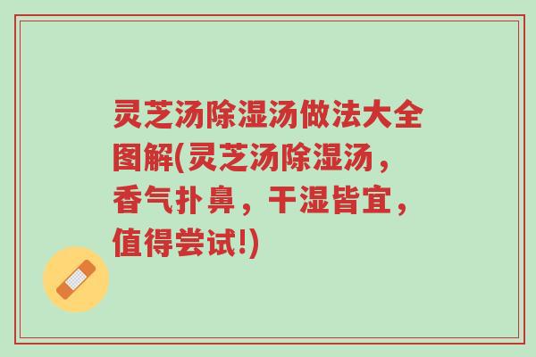 灵芝汤除湿汤做法大全图解(灵芝汤除湿汤,香气扑鼻,干湿皆宜,值得尝试!)-第1张图片-超越 灵芝汤除湿汤做法大全图解(灵芝汤除湿汤,香气扑鼻,干湿皆宜,值得尝试!)-第1张图片-超越