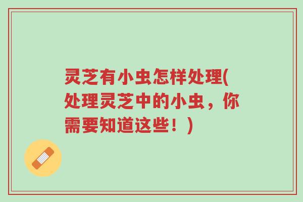 灵芝有小虫怎样处理(处理灵芝中的小虫,你需要知道这些!)-第1张图片-超越 灵芝有小虫怎样处理(处理灵芝中的小虫,你需要知道这些!)-第1张图片-超越