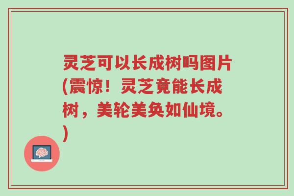 灵芝可以长成树吗图片(震惊!灵芝竟能长成树,美轮美奂如仙境。)-第1张图片-超越 灵芝可以长成树吗图片(震惊!灵芝竟能长成树,美轮美奂如仙境。)-第1张图片-超越