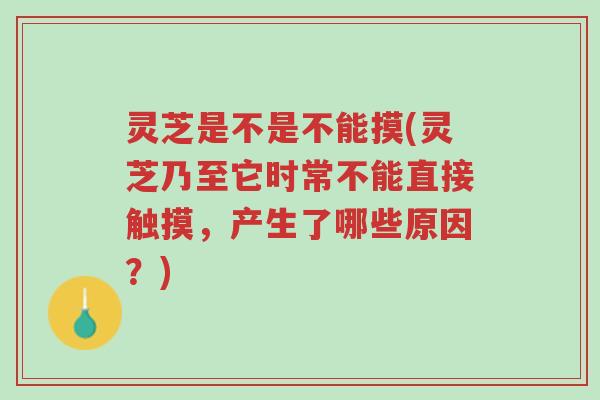 灵芝是不是不能摸(灵芝乃至它时常不能直接触摸,产生了哪些原因?)-第1张图片-超越 灵芝是不是不能摸(灵芝乃至它时常不能直接触摸,产生了哪些原因?)-第1张图片-超越