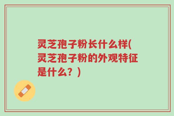 灵芝孢子粉长什么样(灵芝孢子粉的外观特征是什么?)-第1张图片-超越 灵芝孢子粉长什么样(灵芝孢子粉的外观特征是什么?)-第1张图片-超越