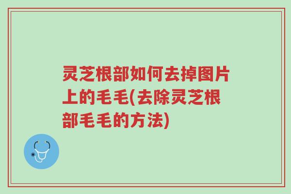 灵芝根部如何去掉图片上的毛毛(去除灵芝根部毛毛的方法)-第1张图片-超越 灵芝根部如何去掉图片上的毛毛(去除灵芝根部毛毛的方法)-第1张图片-超越