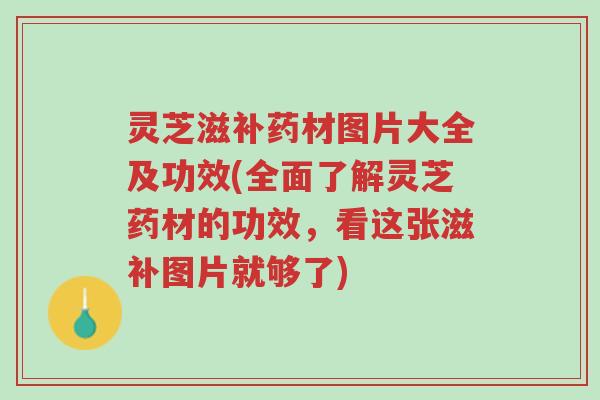 灵芝滋补药材图片大全及功效(全面了解灵芝药材的功效,看这张滋补图片就够了)-第1张图片-超越 灵芝滋补药材图片大全及功效(全面了解灵芝药材的功效,看这张滋补图片就够了)-第1张图片-超越