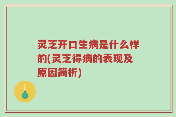 灵芝开口生病是什么样的(灵芝得病的表现及原因简析)-第1张图片-超越 灵芝开口生病是什么样的(灵芝得病的表现及原因简析)-第1张图片-超越