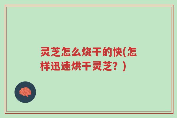 灵芝怎么烧干的快(怎样迅速烘干灵芝?)-第1张图片-超越 灵芝怎么烧干的快(怎样迅速烘干灵芝?)-第1张图片-超越