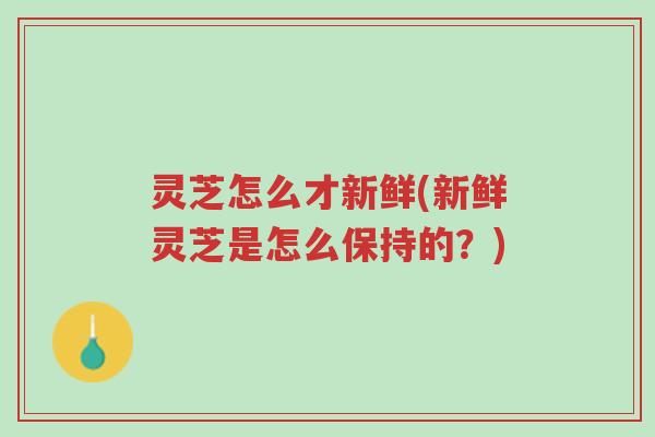 灵芝怎么才新鲜(新鲜灵芝是怎么保持的?)-第1张图片-超越 灵芝怎么才新鲜(新鲜灵芝是怎么保持的?)-第1张图片-超越