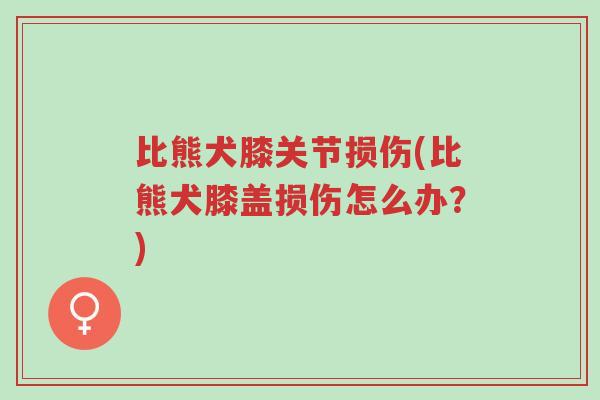 比熊犬膝关节损伤(比熊犬膝盖损伤怎么办?)-第1张图片-超越 比熊犬膝关节损伤(比熊犬膝盖损伤怎么办?)-第1张图片-超越