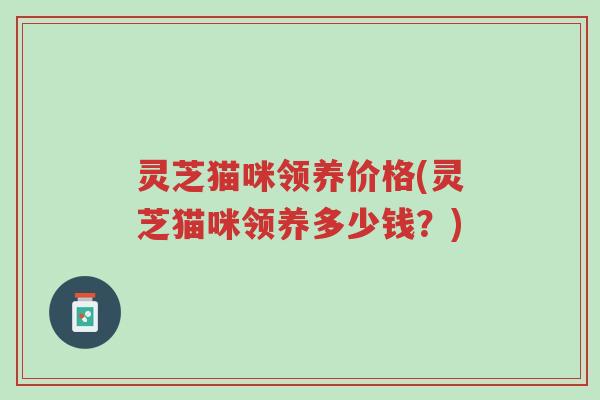 灵芝猫咪领养价格(灵芝猫咪领养多少钱?)-第1张图片-超越 灵芝猫咪领养价格(灵芝猫咪领养多少钱?)-第1张图片-超越