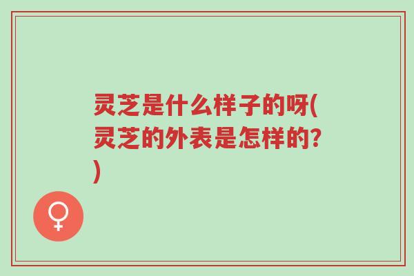 灵芝是什么样子的呀(灵芝的外表是怎样的?)-第1张图片-超越 灵芝是什么样子的呀(灵芝的外表是怎样的?)-第1张图片-超越