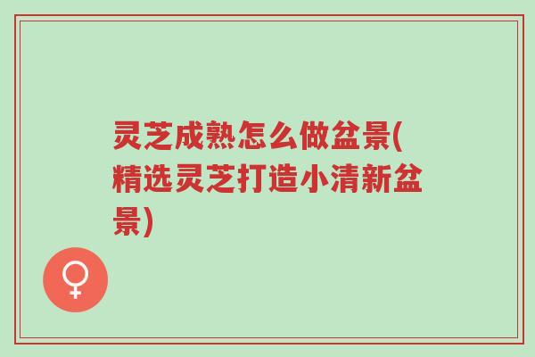 灵芝成熟怎么做盆景(精选灵芝打造小清新盆景)-第1张图片-超越 灵芝成熟怎么做盆景(精选灵芝打造小清新盆景)-第1张图片-超越