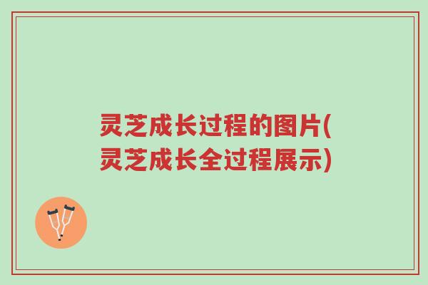 灵芝成长过程的图片(灵芝成长全过程展示)-第1张图片-超越 灵芝成长过程的图片(灵芝成长全过程展示)-第1张图片-超越
