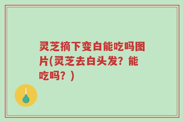 灵芝摘下变白能吃吗图片(灵芝去白头发?能吃吗?)-第1张图片-超越 灵芝摘下变白能吃吗图片(灵芝去白头发?能吃吗?)-第1张图片-超越