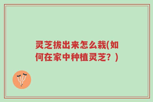 灵芝拔出来怎么栽(如何在家中种植灵芝?)-第1张图片-超越 灵芝拔出来怎么栽(如何在家中种植灵芝?)-第1张图片-超越