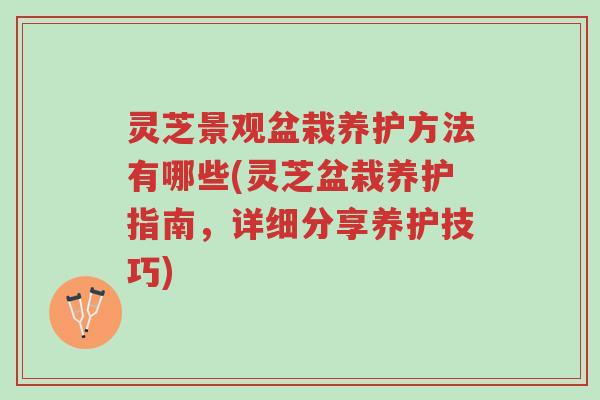 灵芝景观盆栽养护方法有哪些(灵芝盆栽养护指南,详细分享养护技巧)-第1张图片-超越 灵芝景观盆栽养护方法有哪些(灵芝盆栽养护指南,详细分享养护技巧)-第1张图片-超越