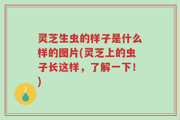 灵芝生虫的样子是什么样的图片(灵芝上的虫子长这样,了解一下!)-第1张图片-超越 灵芝生虫的样子是什么样的图片(灵芝上的虫子长这样,了解一下!)-第1张图片-超越