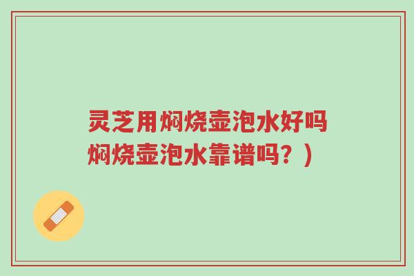 灵芝用焖烧壶泡水好吗焖烧壶泡水靠谱吗?)-第1张图片-超越 灵芝用焖烧壶泡水好吗焖烧壶泡水靠谱吗?)-第1张图片-超越